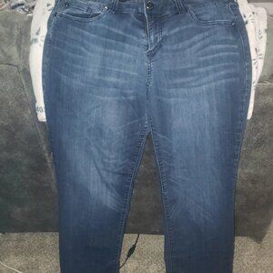 Molly & Isadora plus size jeans size 14WPlus Size Greenwich Bootcut classic jean
